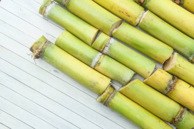 Sarı şeker kamışı sapları veya Saccharum officinarum beyaz arka planda düzenlenmiş ve izole edilmiş