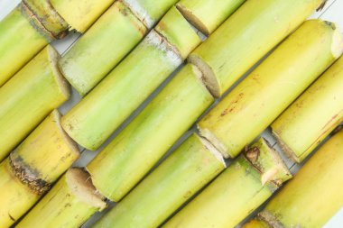 Taze sarı şeker kamışı sapları ya da masadaki Saccharum ofisinin şekli