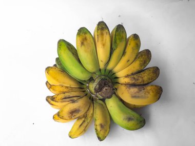 Taze Musa Paradisiaca ya da kepok muzu, her meyvesinde farklı olgunluk seviyeleri olan, beyaz arka planda izole edilmiş taze musa paradisiaca muz meyvesi.