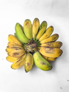 Taze Musa Paradisiaca ya da kepok muzu, her meyvesinde farklı olgunluk seviyeleri olan, beyaz arka planda izole edilmiş taze musa paradisiaca muz meyvesi.