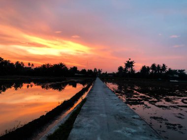 Bir köydeki pirinç tarlalarında sabah atmosferinin göz kamaştırıcı bir anı. Güneş, sularla dolu tarım arazisinde güneşin yansımasıyla doğuyor. 