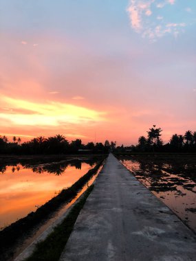 Bir köydeki pirinç tarlalarında sabah atmosferinin göz kamaştırıcı bir anı. Güneş, sularla dolu tarım arazisinde güneşin yansımasıyla doğuyor. 