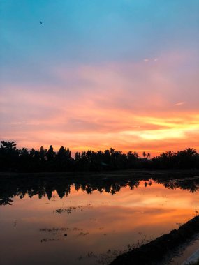 Bir köydeki pirinç tarlalarında sabah atmosferinin göz kamaştırıcı bir anı. Güneş, sularla dolu tarım arazisinde güneşin yansımasıyla doğuyor. 