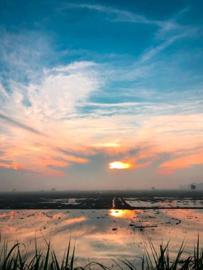 Bir köydeki pirinç tarlalarında sabah atmosferinin göz kamaştırıcı bir anı. Güneş, sularla dolu tarım arazisinde güneşin yansımasıyla doğuyor. 