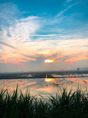 Bir köydeki pirinç tarlalarında sabah atmosferinin göz kamaştırıcı bir anı. Güneş, sularla dolu tarım arazisinde güneşin yansımasıyla doğuyor. 