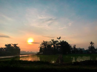 Bir köydeki pirinç tarlalarında sabah atmosferinin göz kamaştırıcı bir anı. Güneş, sularla dolu tarım arazisinde güneşin yansımasıyla doğuyor. 