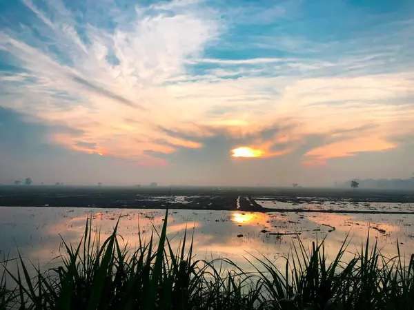 Bir köydeki pirinç tarlalarında sabah atmosferinin göz kamaştırıcı bir anı. Güneş, sularla dolu tarım arazisinde güneşin yansımasıyla doğuyor. 