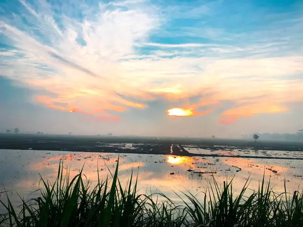 Bir köydeki pirinç tarlalarında sabah atmosferinin göz kamaştırıcı bir anı. Güneş, sularla dolu tarım arazisinde güneşin yansımasıyla doğuyor. 