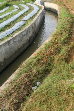 Sulama ya da su akışı ya da pirinç tarlası boyunca inşa edilen ve tarım arazisi için gerekli suyu sağlayan kanallar