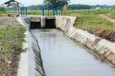 Endonezya 'nın pirinç tarlalarındaki su kanalları, pirinç tarlalarına su tedarikçisi olarak çalışan ve Endonezya' daki çiftçilere yardım eden su kanalları
