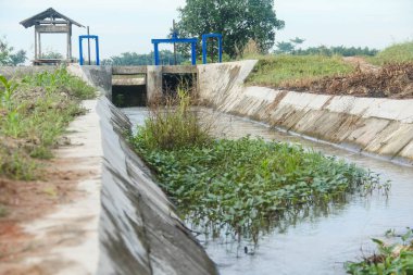 Endonezya 'nın pirinç tarlalarındaki su kanalları, pirinç tarlalarına su tedarikçisi olarak çalışan ve Endonezya' daki çiftçilere yardım eden su kanalları