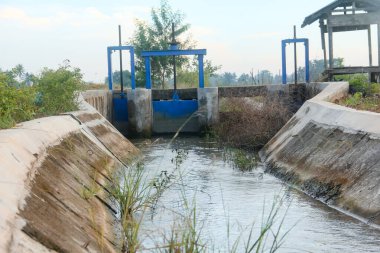 Endonezya 'nın pirinç tarlalarındaki su kanalları, pirinç tarlalarına su tedarikçisi olarak çalışan ve Endonezya' daki çiftçilere yardım eden su kanalları