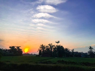 Güzel ve dingin pirinç tarlaları ve gün doğumuyla sabah rahatlatıcı bir an.