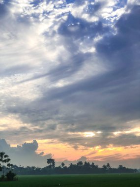 Güzel ve dingin pirinç tarlaları ve gün doğumuyla sabah rahatlatıcı bir an.