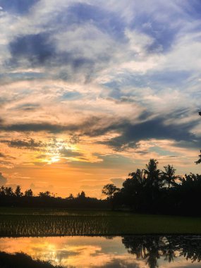 Güzel ve dingin pirinç tarlaları ve gün doğumuyla sabah rahatlatıcı bir an.