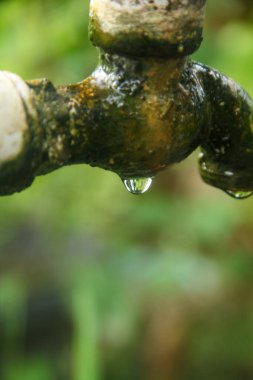 Bahçedeki yosunlu su musluğuna sıkışmış bir damla su.