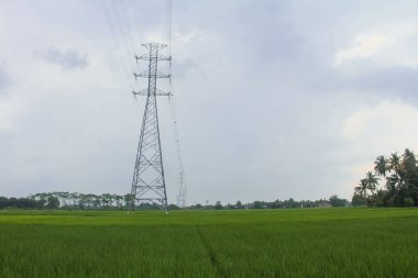 Endonezya 'da pirinç tarlalarını geçen ekstra yüksek gerilim ya da yüksek gerilim aktarım hattı