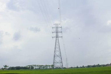Endonezya 'da pirinç tarlalarını geçen ekstra yüksek gerilim ya da yüksek gerilim aktarım hattı