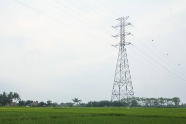 Endonezya 'da pirinç tarlalarını geçen ekstra yüksek gerilim ya da yüksek gerilim aktarım hattı