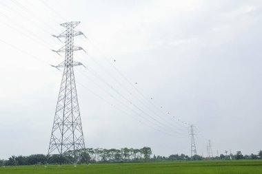 Endonezya 'da pirinç tarlalarını geçen ekstra yüksek gerilim ya da yüksek gerilim aktarım hattı