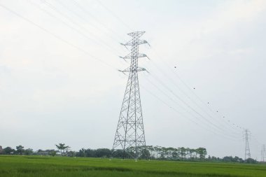 Endonezya 'da pirinç tarlalarını geçen ekstra yüksek gerilim ya da yüksek gerilim aktarım hattı
