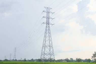 Endonezya 'da pirinç tarlalarını geçen ekstra yüksek gerilim ya da yüksek gerilim aktarım hattı