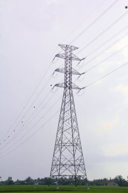 Endonezya 'da pirinç tarlalarını geçen ekstra yüksek gerilim ya da yüksek gerilim aktarım hattı