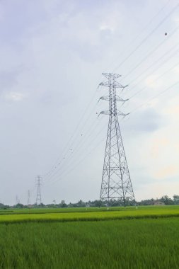 Endonezya 'da pirinç tarlalarını geçen ekstra yüksek gerilim ya da yüksek gerilim aktarım hattı