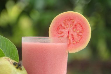 Guava suyu ya da bir bardakta Psidium Guajava ve yeşil yaprakların doğal bir arka planına sahip bir masada tüm ve dilimlenmiş guava ile süslenmiş.