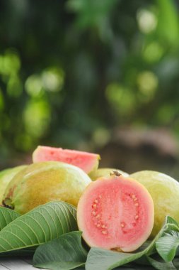 guava meyvesi ya da Psidium Guajava masaya düzgün yerleştirilmiş ve taze yeşil yapraklarla süslenmiş.