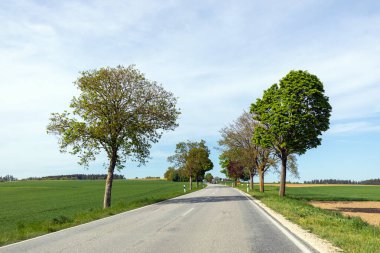    Doğa köyü yürüyüşü