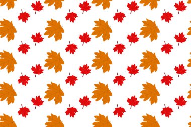 Kanada Günü için akçaağaç yaprağı pürüzsüz desen arkaplanı