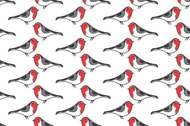 Robbin kuşunun kusursuz arka plan şablonu. Kuş arkaplan şablonu