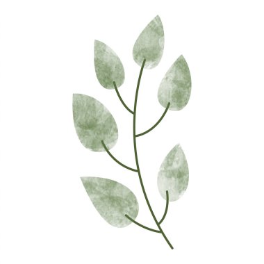 Suluboya çiçek elementi. Çiçek element tasarım değeri