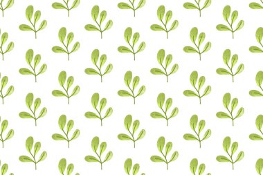 Çiçeksiz suluboya arka plan şablonu. Botanik kusursuz desen arkaplanı