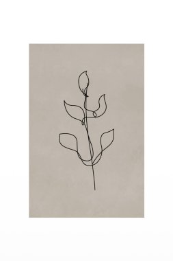 Çizgi sanatı botanik arka plan çizimi. Botanik duvarı resim posteri