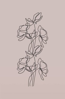 Çizgi sanatı botanik arka plan çizimi. Botanik duvarı resim posteri