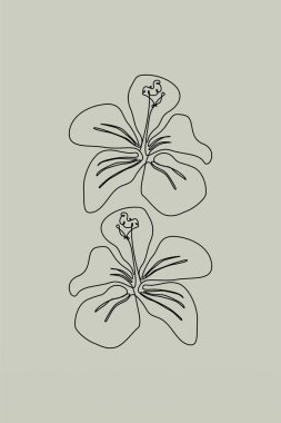 Çizgi sanatı botanik arka plan çizimi. Botanik duvarı resim posteri