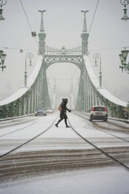 Budapeşte, Macaristan - 30 Kasım 2023: Karlı kış gününde ünlü Özgürlük Köprüsü.