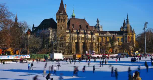 ブダペスト ハンガリー 2023年12月17日 シティパークアイスリンクでスケート タイムラプスビデオ — ストック動画