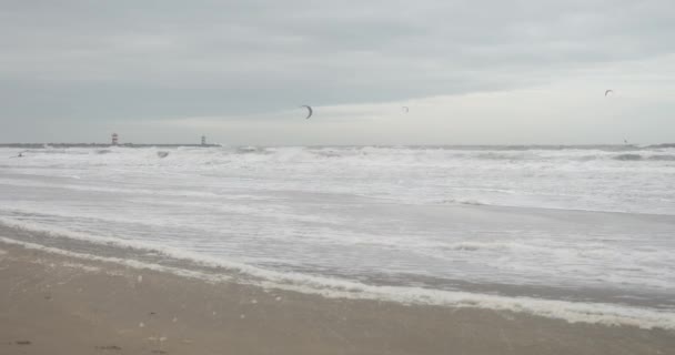 Keizerstraat 2586 Den Haag Niederlande Dezember 2023 Nordsee Winter Surfer — Stockvideo
