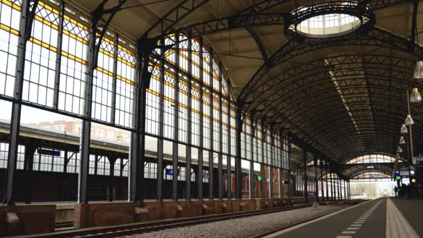 Hague Netherlands December 2023 Den Haag Train Station Train Arrival — Stock Video