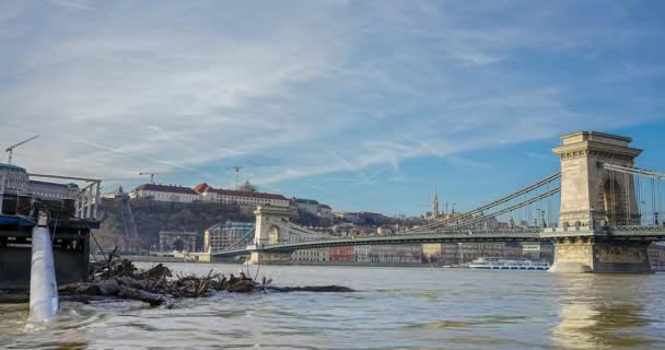 ブダペスト ハンガリー 2023年12月29日 洪水したダヌーブ サックは前景にログを記録します バックグラウンドのフィッシャーマン 移動グラウンドのチェーンブリッジ タイムラプス — ストック動画