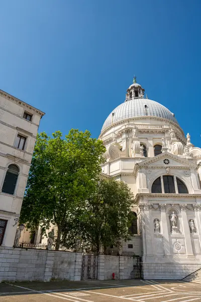 Venedik, İtalya - 5 Haziran 2024: Santa Maria della Salute Kilisesi.
