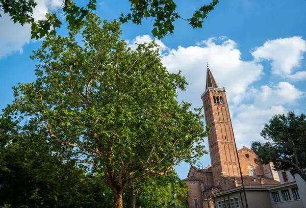 Stock image Verona, Italy - June 06, 2024: Basilica di Santa Anastasia tower after the trees.