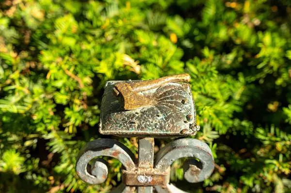 Budapeşte, Macaristan - 8 Temmuz 2024: Mihaly Kolodko 'nun Balta mini heykeli. Altın saat zamanı..