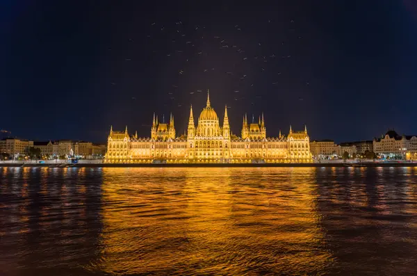 Budapeşte, Macaristan - 07 Ağustos 2024: Geceleri parlamento binası. Aydınlanmış kuşlar binanın üzerinde uçuyor..