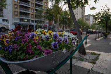 Catania, İtalya - 20 Mayıs 2024: Kargo arabasında çiçekler.