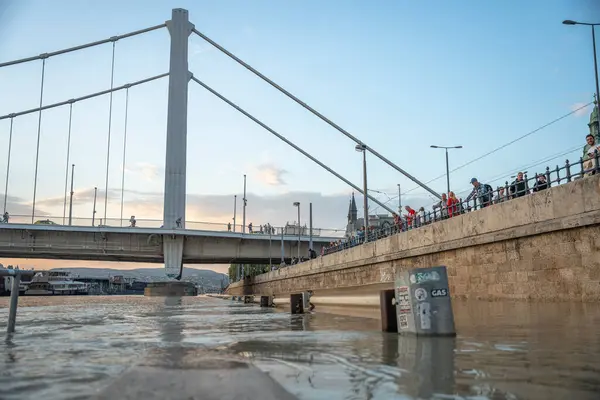 Budapeşte, Macaristan - 18 Eylül 2024: Budapeşte 'deki Erzsebet Köprüsü Altındaki Otoyolu Tuna Nehri' Boris Fırtınası 'ndan Sonra Yükseliyor. Akşam çekimi..