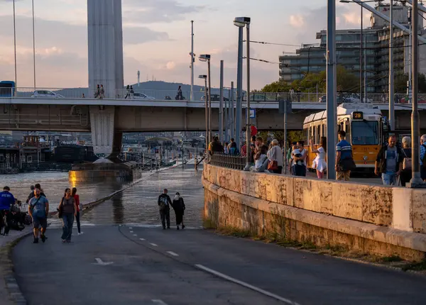 Budapeşte, Macaristan - 18 Eylül 2024: Budapeşte 'deki Erzsebet Köprüsü Altındaki Otoyolu Tuna Nehri' Boris Fırtınası 'ndan Sonra Yükseliyor. Akşam çekimi..